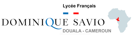 lyceesaviodouala.org